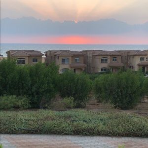 Meet your Posher, Adam